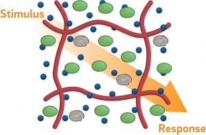 Engineered Living Materials